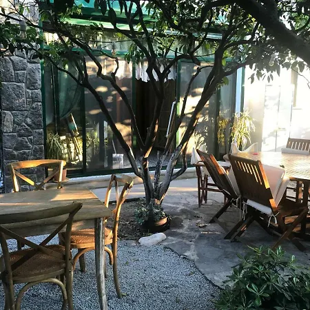 No 5 Bodrum