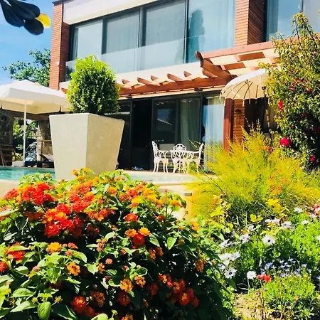 Oda ve Kahvaltı No 5 4*